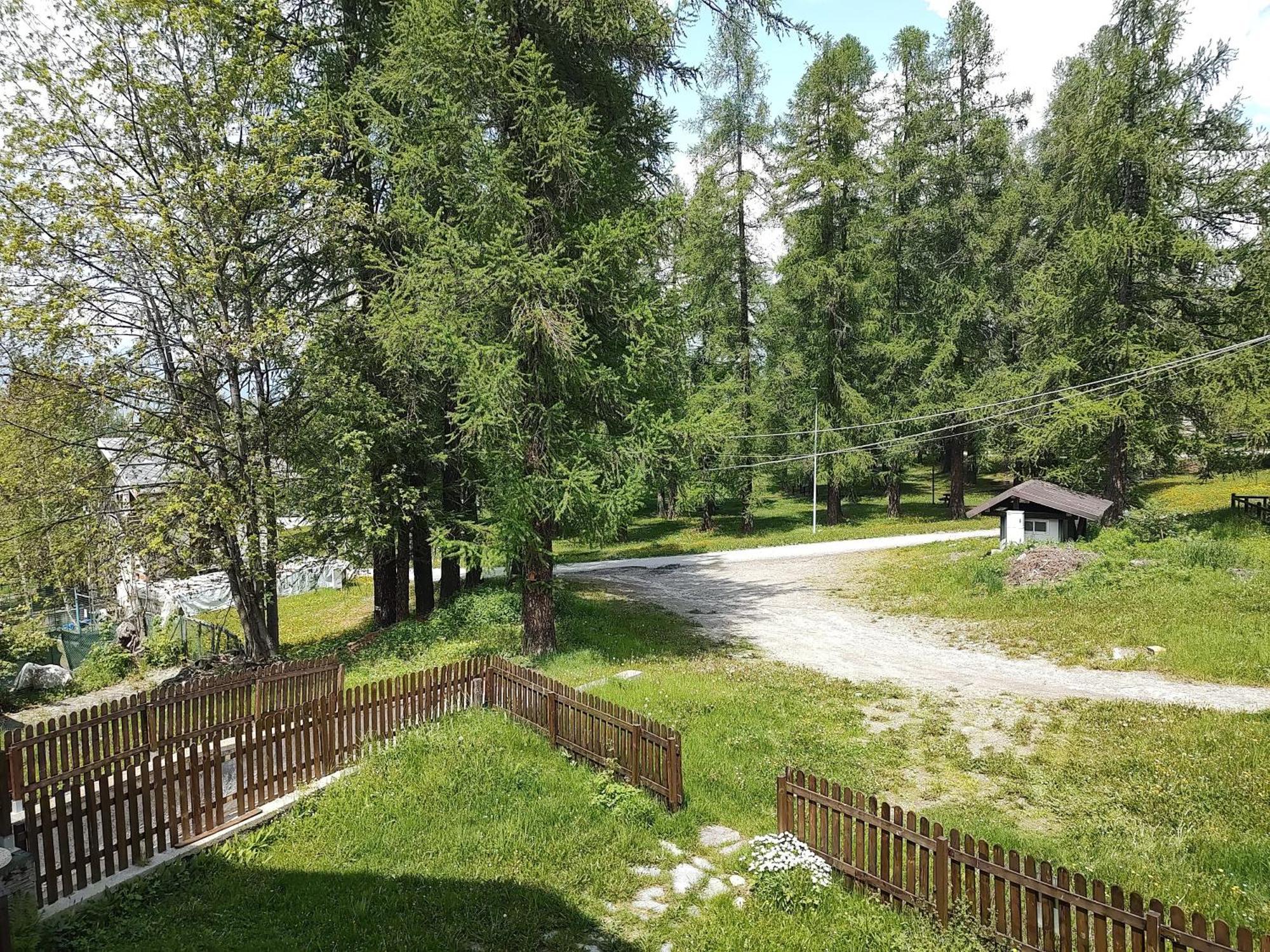 Apartament Montagna Che Passione Chiomonte Zewnętrze zdjęcie