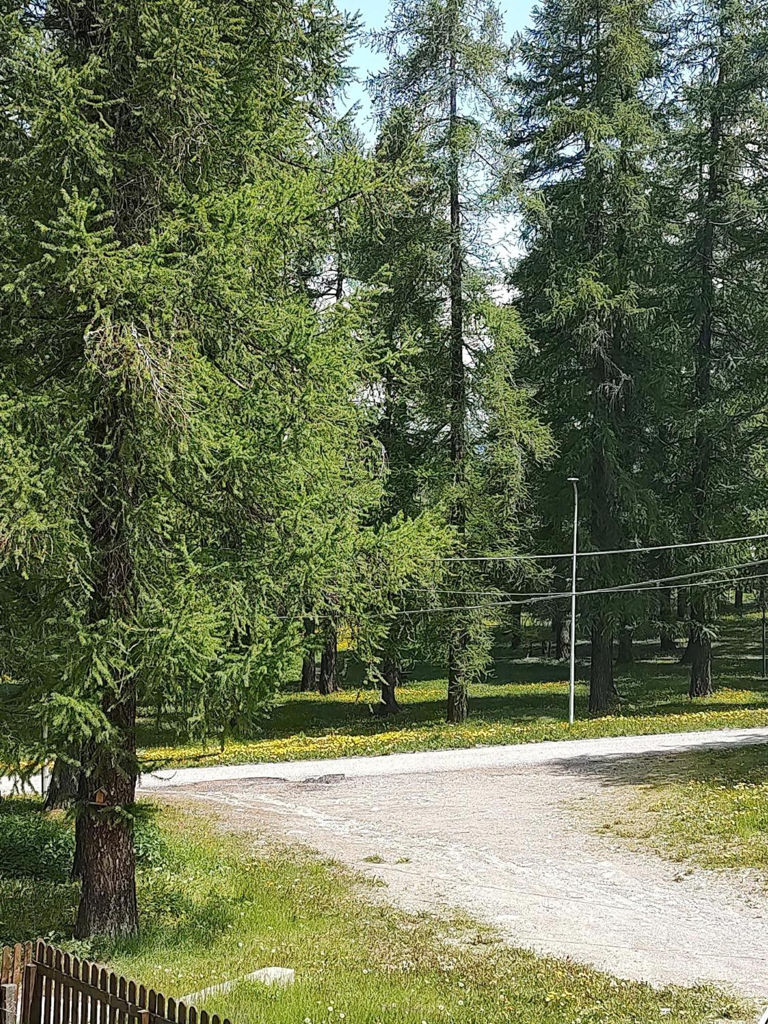 Apartament Montagna Che Passione Chiomonte Zewnętrze zdjęcie